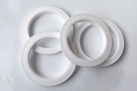 Substitui-se fácil instalação 80 Nitrile PTFE Hammer Union Lip Seal Gasket / Ring