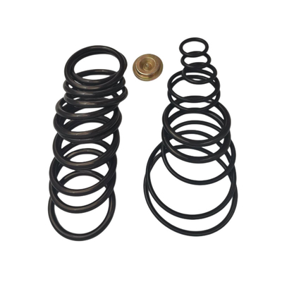 Padeiro Type O Ring Redress Kit #10 que ajusta as ferramentas de borracha da conclusão do Downhole do selo