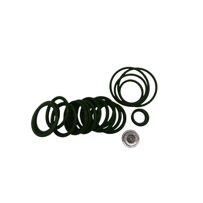 Kit de reparação personalizado para plugue de ponte com anéis FKM EPDM NBR 20 ferramentas de fixação Baker