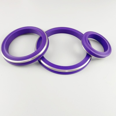 2 " 3 " 4 " Buna HNBR Fig1502 Colored Wing Union Seal com SS 304 Back Up