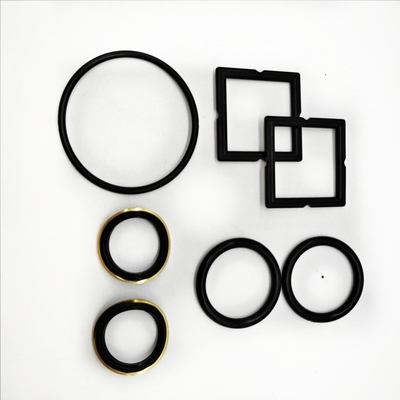 Royal Way Durable Custom Design FMC Tipo 1'' Fig 1502 Weco Plug Valve Elastomer Set