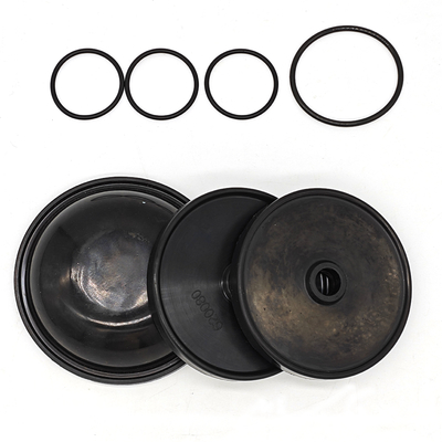 Kit de diafragma Blueflex para bombas Ar30/40