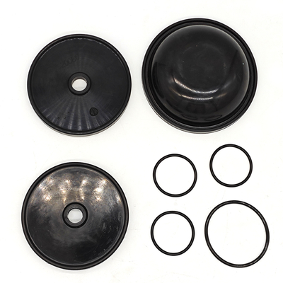Kit de diafragma Blueflex para bombas Ar30/40