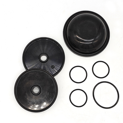 Kit de diafragma Blueflex para bombas Ar30/40