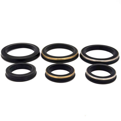 Sello de lábio de martelamento de 15 000 PSI de alta pressão com NBR de grau de campo petrolífero e design auto-alimentado