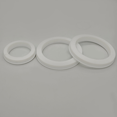 FKM PTFE Hammer Union Seal para conexões de tubos de alta pressão