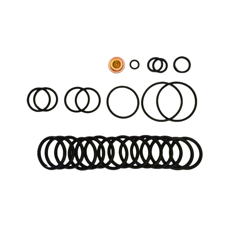 OEM/ODM Disponível Nitrile Fluorelastomer Bridge Plugs 10 BP3.SEC Adaptador Kits para Redação