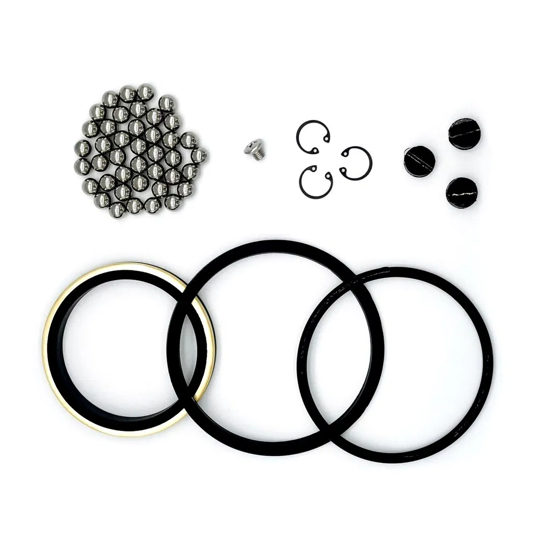 Royal Way 10 BP3.SEC Kit de reparação Kit de reparação Ferramenta de conclusão de poços 7