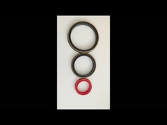 80 Shore A Brass Backup Buna Hammer Sello da União